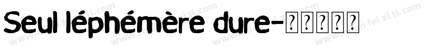Seul léphémère dure字体转换